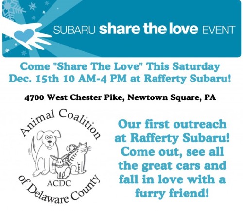 Share the Love Flyer